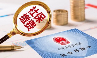 社保怎么交法 社保怎么交法,现在12月份底,11月份还没到账