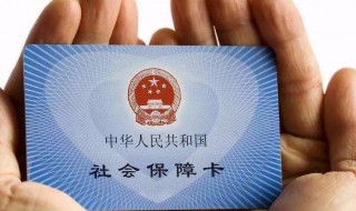 怎么查社保积分 怎么查社保积分多少