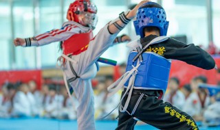 散打证书怎么考（散打证书有用吗）