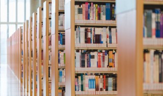 沟的组词（沟的组词是什么啊）