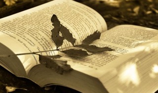 开始新的征程经典句子 开始新的征程经典句子图片