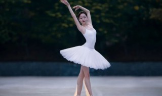 芭蕾舞的起源和发展短文 芭蕾舞的故事大多数源于