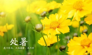 2021处暑节气的含义是什么意思（2021过了处暑是什么节日）