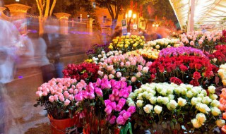 各种花的寓意和象征意义（各种花的寓意及象征）