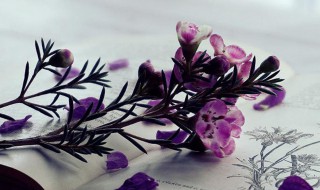 一个人挺好的说说句子(一个人挺好的说说句子简短)