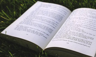 赞美家乡的句子超短（形容家乡美的短句子）