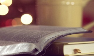 描写春天的景色句子（描写春天的景色句子 短句）