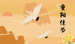 重阳节登高说说 重阳节登高的句子