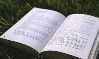 中秋节的优美句子（中秋节的优美句子100字）