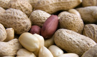 女人梦见带壳的生花生是什么意思 女人梦见带壳的生花生是什么意思啊