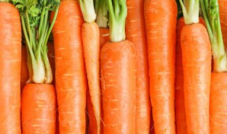 胡萝卜土豆丝怎么炒（胡萝卜土豆丝怎么炒好吃）