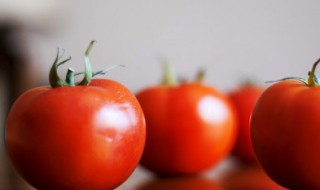 西红柿和茄子怎么炒 西红柿和茄子怎么炒菜