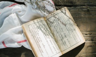 只取一瓢饮之前一句是什么（只取一瓢饮之前一句是什么歌）