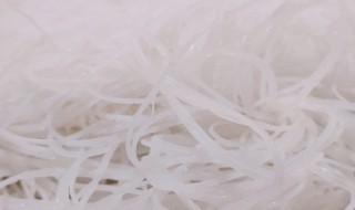 萝卜和粉条怎么炒好吃 萝卜炒粉条用什么萝卜