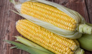 奶香玉米烙怎么炸脆（玉米烙怎么做才脆）