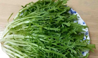 苦菊怎么炒 苦菊怎么炒着吃好吃