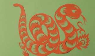 属蛇的克星是什么属相（属蛇人的克星是属什么）