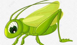 活蚂蚱的储存方法（活蚂蚱冷冻储存方法）