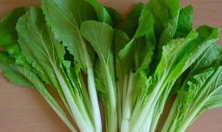 鸡毛菜保鲜窍门 鸡毛菜保鲜窍门图片