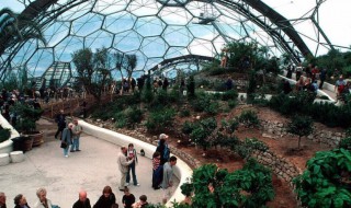 九洲伊甸园热带植物园在哪里（九州伊甸园热带植物馆）