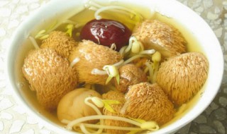 猴头菇吃法（猴头菇吃法视频）