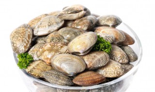 花蛤吐沙子要多长时间 花蛤吐沙子要多长时间吐完