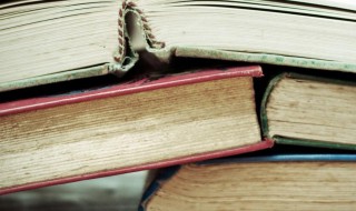 关于礼仪的名言警句 关于礼仪的名言警句摘抄大全