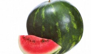 瓜有几种分类 瓜类有多少种