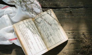 塌组词和拼音（塌组词和拼音焦）