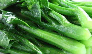 油麦菜怎么炒才好吃（油麦菜怎么做好吃又简单）