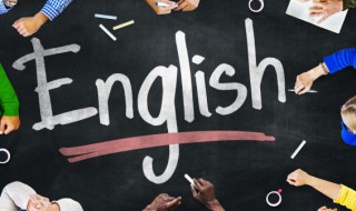 乌龟的英文怎么说 乌龟的英文怎么说呀