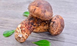 冷冻松茸怎么做（冷冻松茸怎么做好吃又嫩）