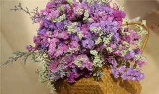 永生花放卧室风水（摆放永生花风水）