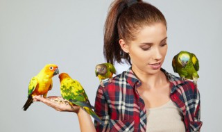 有人说养鹦鹉不吉利（有人说养鹦鹉不吉利怎么回复）