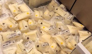 冰冻后的母乳解冻后能放多久（冰冻后的母乳解冻后能放多久再冷冻）