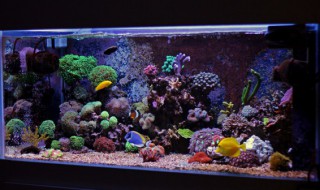 鱼缸风水尺寸多少合适（鱼缸风水尺寸多少合适家用）