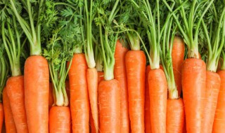 蔬菜丁小圆饼的做法 蔬菜丁小圆饼的做法窍门