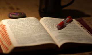 射人先射马擒贼先擒王是什么意思 射人先射什么擒贼先擒王的意思