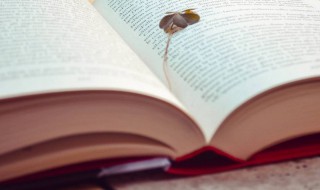 躲了雷公遇了霹雳是什么意思（雷天霹雳的意思）