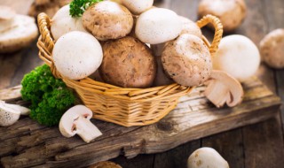 口蘑海木耳汤的做法 海木耳汤的做法大全