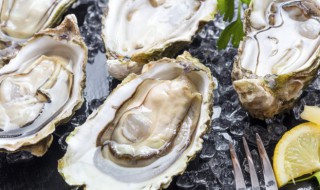 家常蚝烙的做法 蚝烙的制作过程