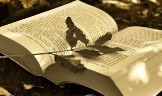 治得病治不得命是什么意思（治得了病治不了命什么意思）