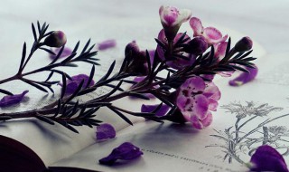 公而忘私国而忘家是什么意思（国而忘家公而忘私出自什么文献）