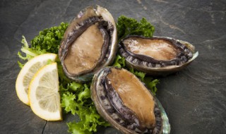 怎样清洗鲍鱼 怎样清洗鲍鱼内脏