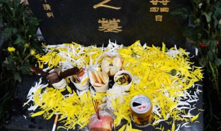 成服是什么意思（除服和成服是什么意思）