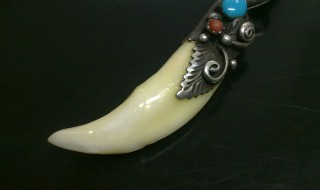 狼牙储存方法（狼牙储存方法是什么）