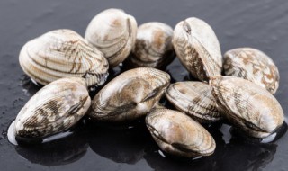 美贝储存方法 美贝储存方法有几种