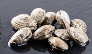 沙蛤储存方法（蛤蜊的储藏方法）