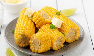 储存玉米的方法 储存玉米的方法是什么