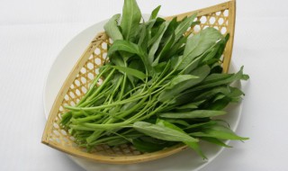 地菜储存方法 地菜储存方法图片